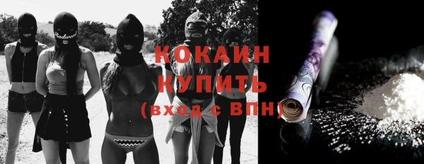 шишки Абинск