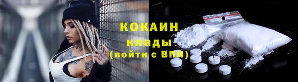 шишки Абинск