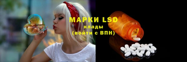 шишки Абинск